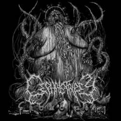 Cephalotripsy : Promo 2011